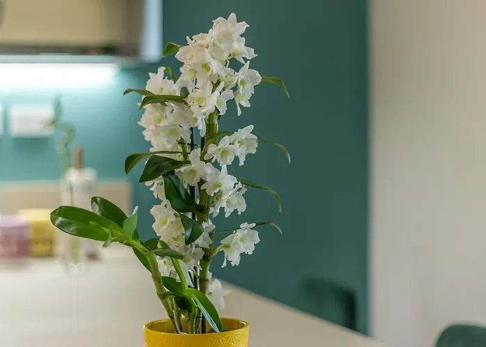 Appartement In Corte Privata Doppio Parcheggio Gratuito Bologne