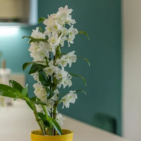 아파트 In Corte Privata Doppio Parcheggio Gratuito 볼로냐